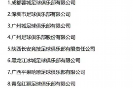 德州遇到恶意拖欠？专业追讨公司帮您解决烦恼